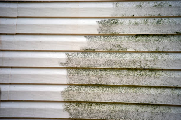Best James Hardie Siding  in Mount Hermon, CA
